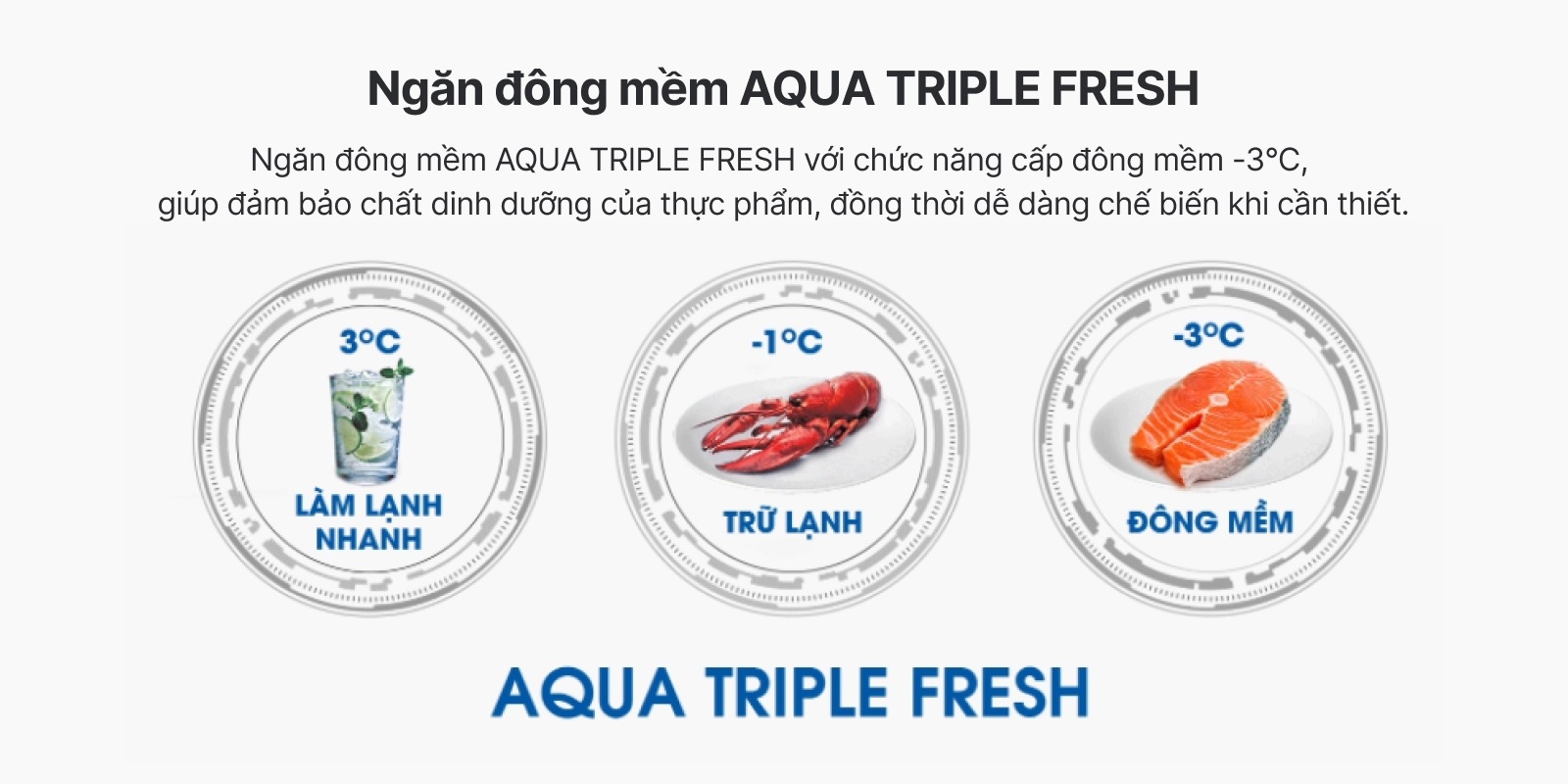 Ngăn Aqua Triple Fresh