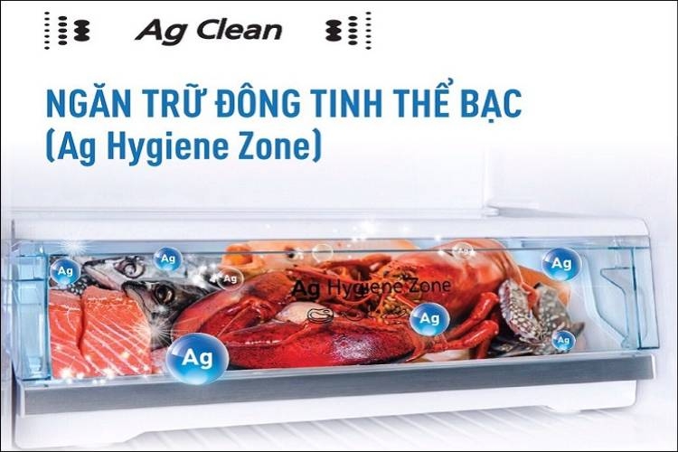 Thực phẩm luôn tươi ngon với ngăn trữ đông bằng tinh thể bạc (Ag Hygiene Zone)