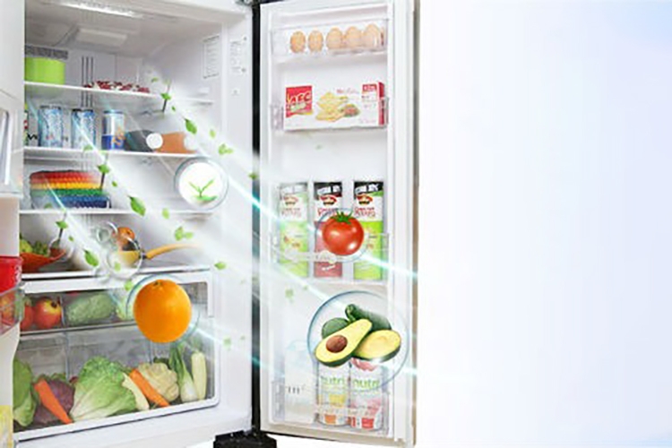 Tìm hiểu về công nghệ khử mùi tủ lạnh Samsung (hình 1)