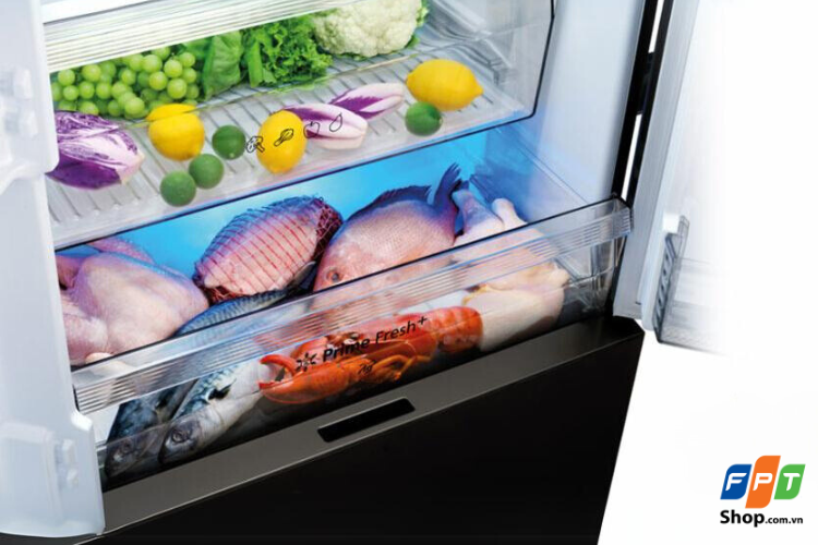 Ngăn cấp đông mềm Prime Fresh+