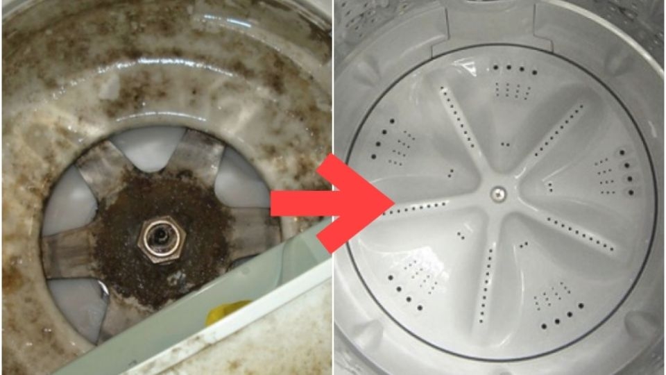 Hình ảnh mâm máy giặt trước và sau khi được vệ sinh