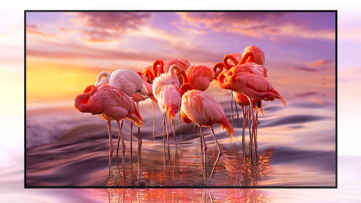 Kích thước tivi 65 inch