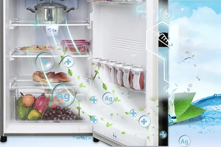 Công nghệ Blue Ag+ trên tủ lạnh Panasonic là gì (hình 3)