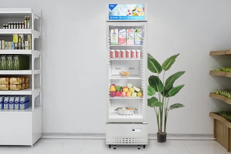 Tủ mát Aqua của nước nào? (hình 1)