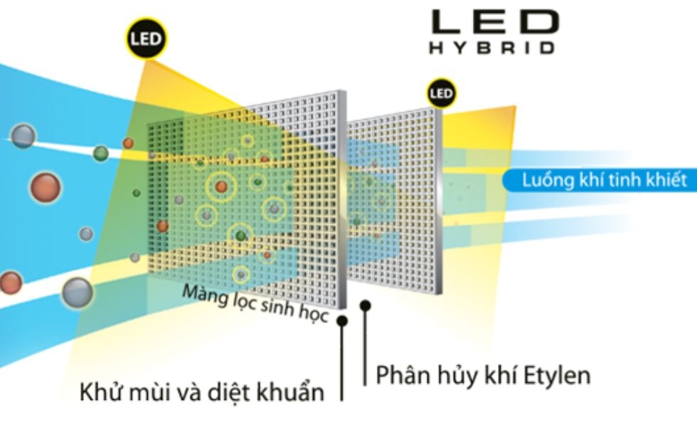 Bộ khử mùi LED Hybrid