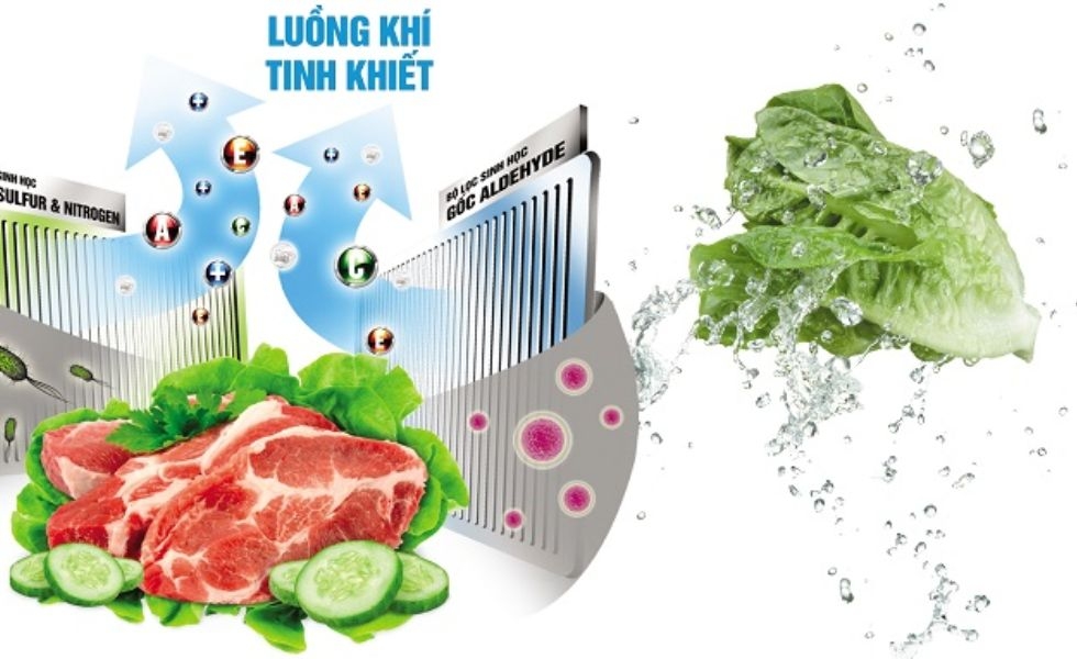 Công nghệ Duo Hybrid diệt khuẩn mạnh mẽ