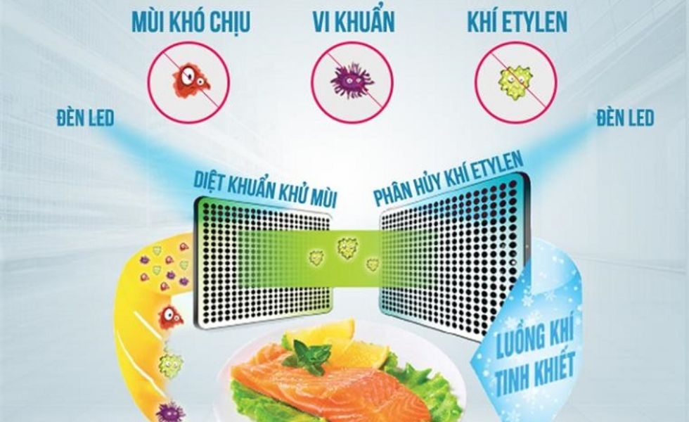 Công nghệ Duo Hybrid khử mùi tanh hôi