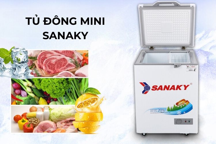 Tủ đông mini Sanaky giúp bảo quản thực phẩm tươi ngon
