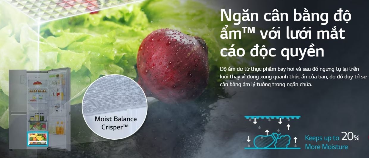 ngăn cân bằng độ ẩm tủ lạnh LG 04