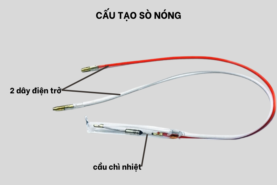 Cấu tạo sò nóng