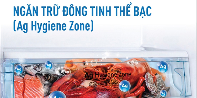 Ngăn Trữ Đông Tinh Thể Bạc: Lợi Ích và Hướng Dẫn Sử Dụng Đúng Cách Hình 3