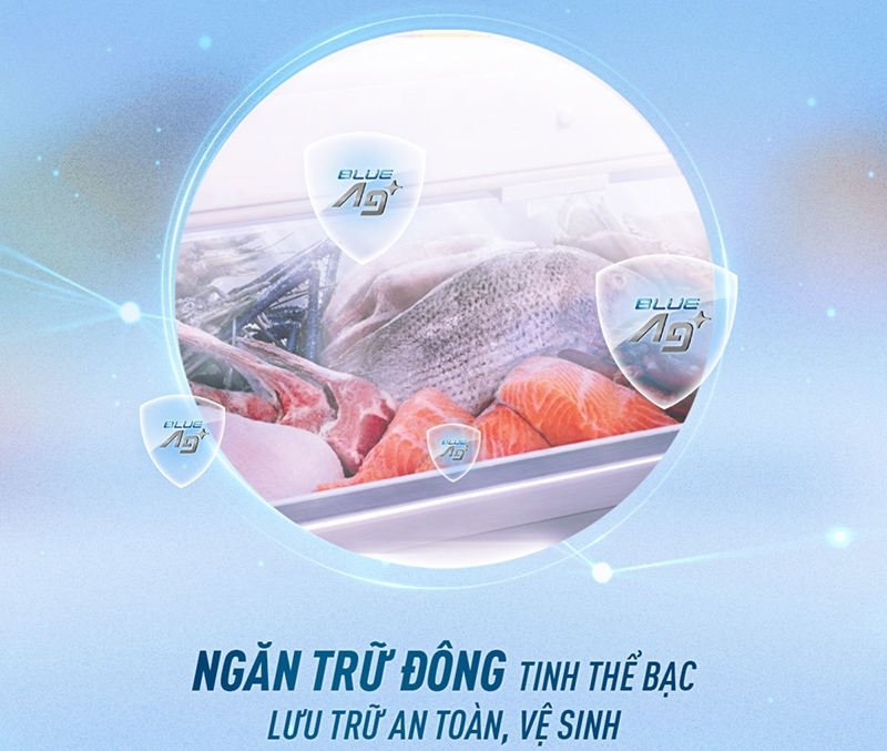 Ngăn Trữ Đông Tinh Thể Bạc: Lợi Ích và Hướng Dẫn Sử Dụng Đúng Cách Hình 1