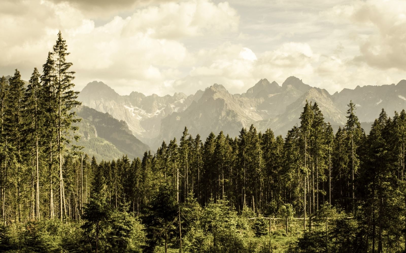 Cảnh thiên nhiên hoài cổ 4