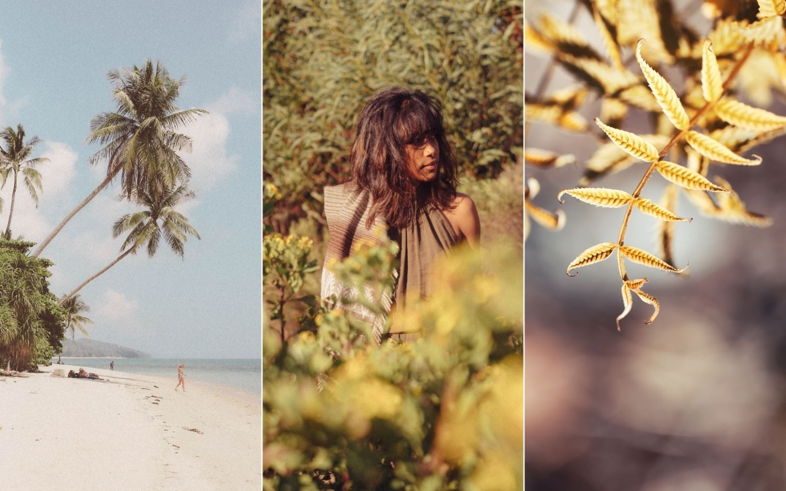 Cảnh thiên nhiên hoài cổ 1