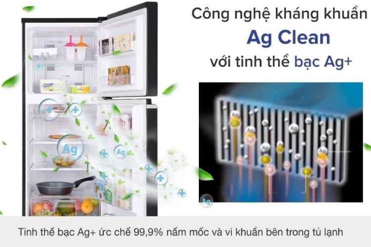 Đánh giá tủ lạnh Panasonic Inverter 188 lít NR-BA229PKVN có gì đặc biệt? (hình 6)