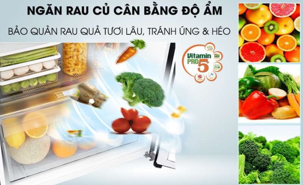 Bảo quản rau củ tươi ngon