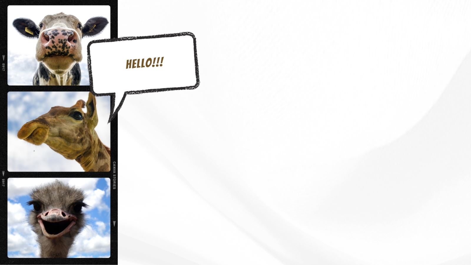 Hình nền PowerPoint hài hước, phá cách 1