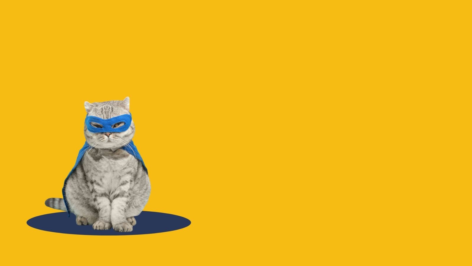 Hình nền PowerPoint hài hước, phá cách 10