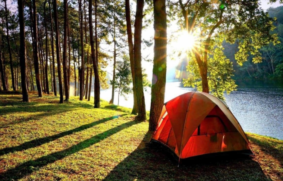 Dạng 2 của AQ - Người cắm trại (Camper)