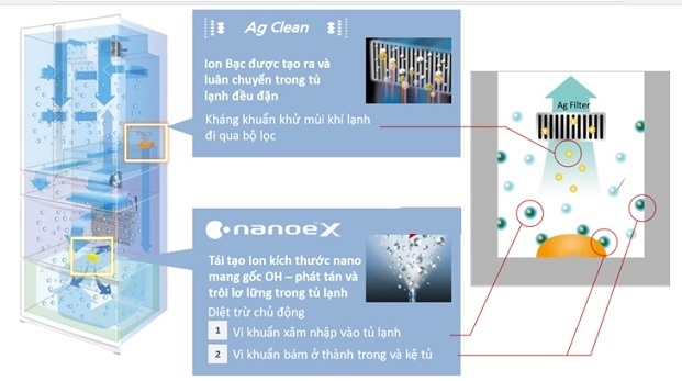 Khám Phá Công Nghệ Tiên Tiến Nanoe™ x Trên Tủ Lạnh Panasonic - Bí Mật Bảo Quản Thực Phẩm Và Không Gian Sống Khỏe Mạnh Hình 5