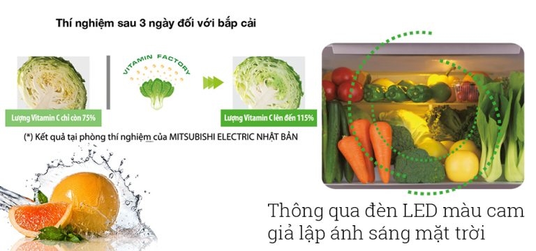Công Nghệ Nhà Máy Vitamin Tân Tiến trên Tủ Lạnh Mitsubishi Electric - Nguồn Dinh Dưỡng Tự Tạo Ra Cho Thực Phẩm Hình 3