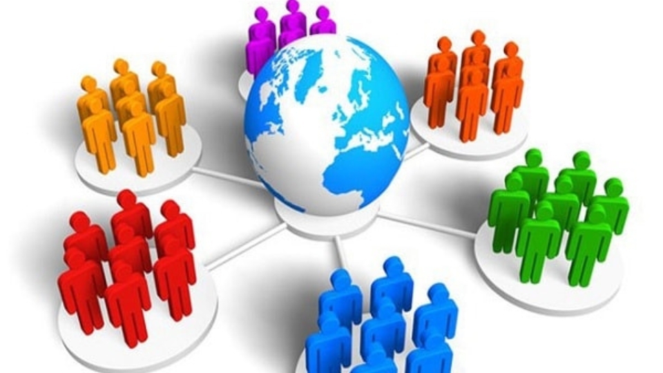 Tổ chức là gì?