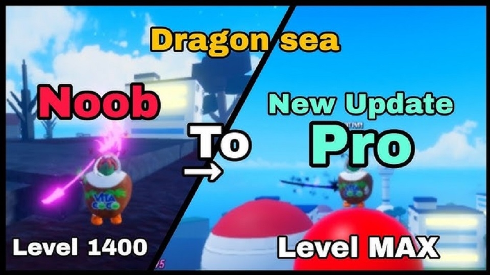 Lưu ý khi nhập code Dragon Sea