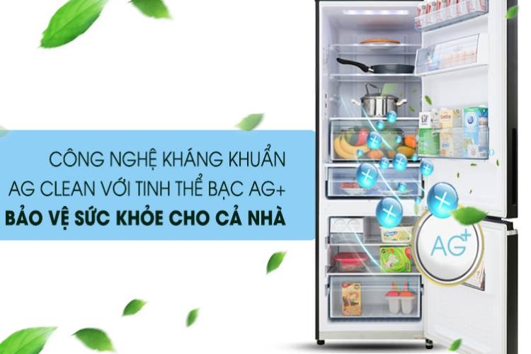 Đánh giá tủ lạnh Panasonic ngăn đông mềm Blue Ag+ có khả năng diệt khuẩn lên đến 99.99% dòng NR-BV0GKVN (hình 14)