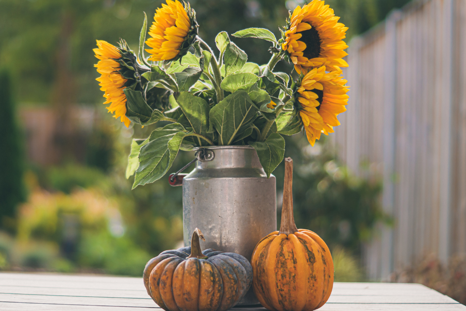 Hoa hướng dương decor 1