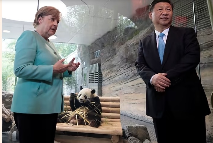 Chủ tịch Trung Quốc Tập Cận Bình và Thủ tướng Đức khi đó là bà Angela Merkel chào đón hai chú gấu trúc Meng Meng và Jiao Qing đến vườn thú Tierpark ở Berlin