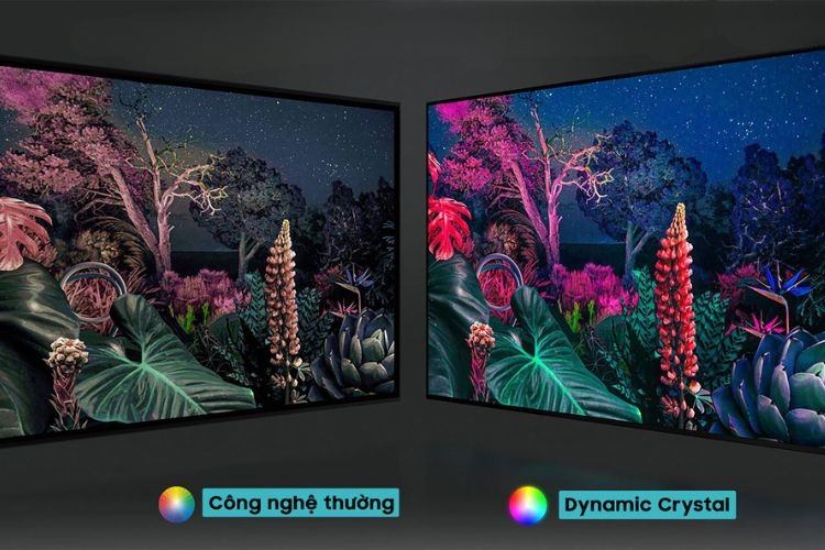 Công nghệ Dynamic Crystal Color cho chất lượng hình ảnh cực kỳ sắc nét