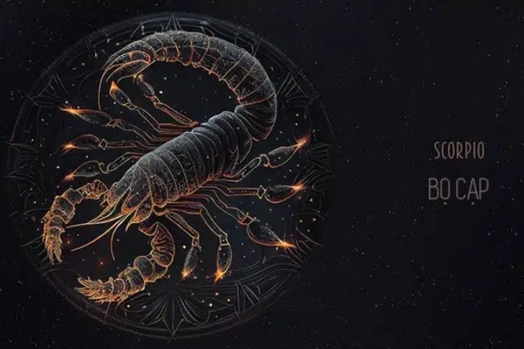 tháng 11 cung gì (hình 1)