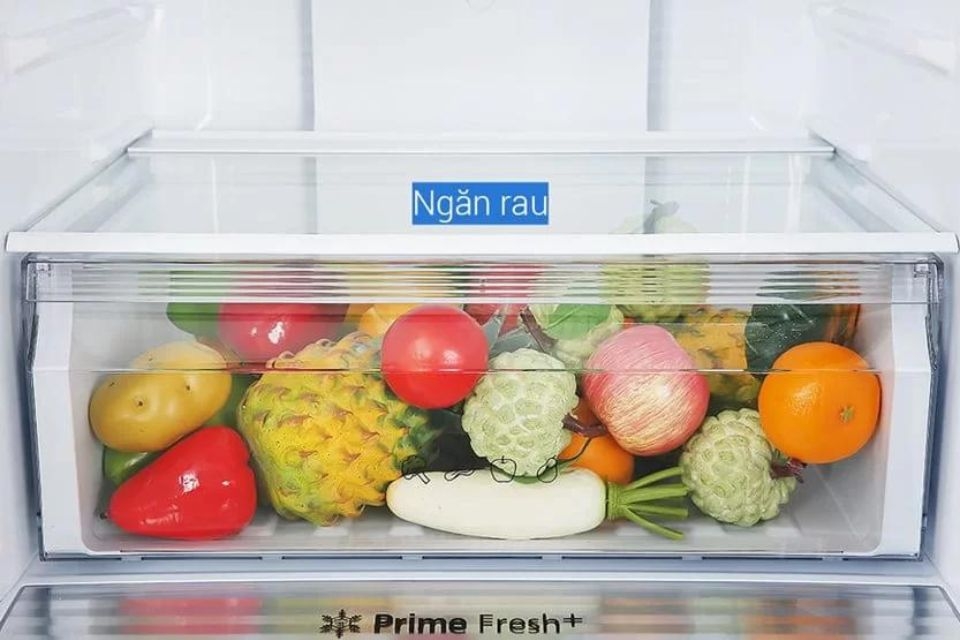 Chọn mua tủ lạnh Panasonic 10