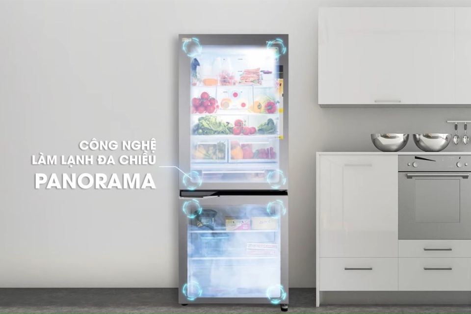 Chọn mua tủ lạnh Panasonic 11