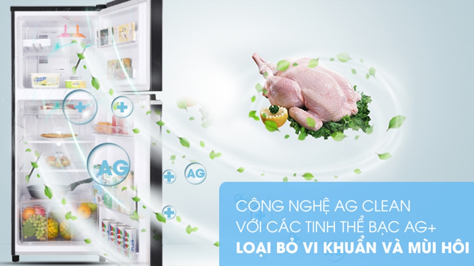 Công nghệ kháng khuẩn giúp bảo quản thực phẩm hiệu quả hơn