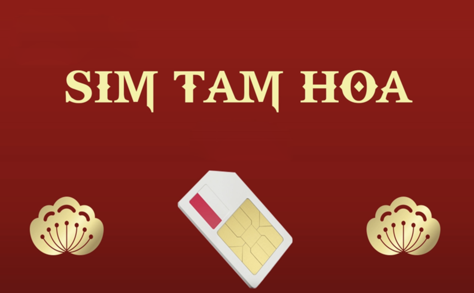 0989 là mạng gì - hình 8
