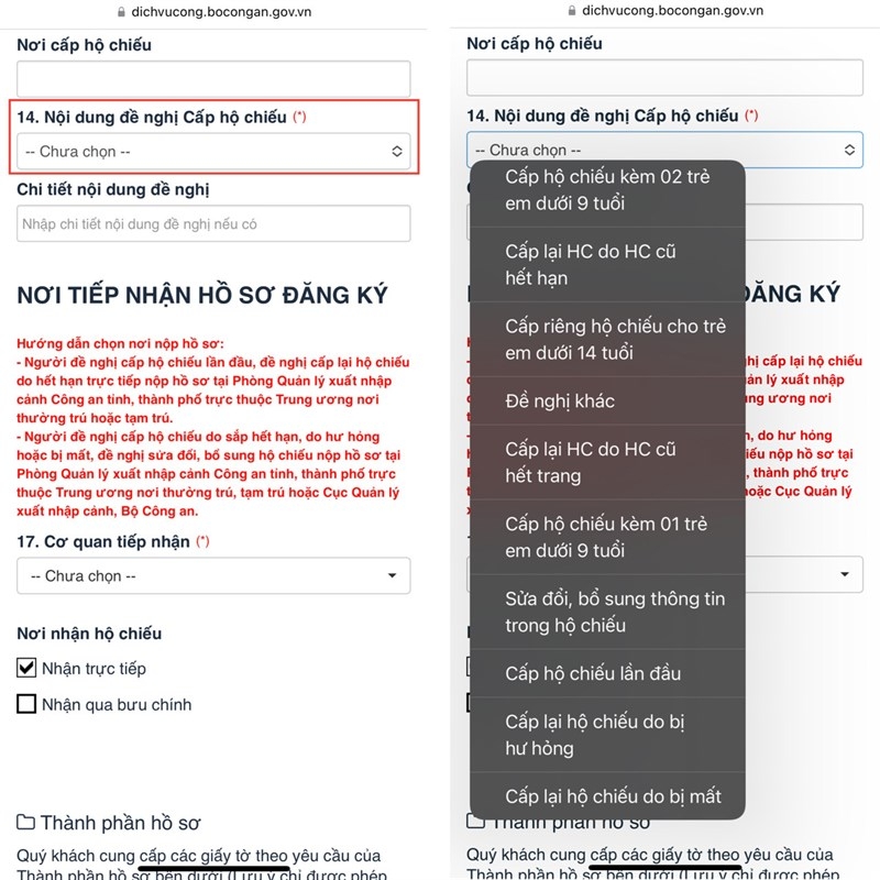 Cách làm passport online - hình 7