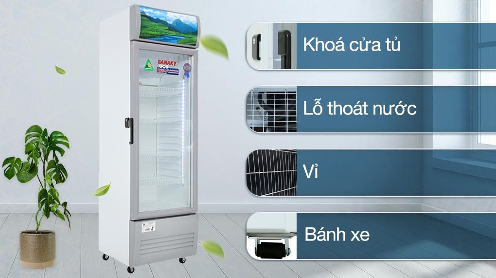 [GỢI Ý] Kích thước các dòng tủ mát cơ bản bạn nên biết trước khi mua