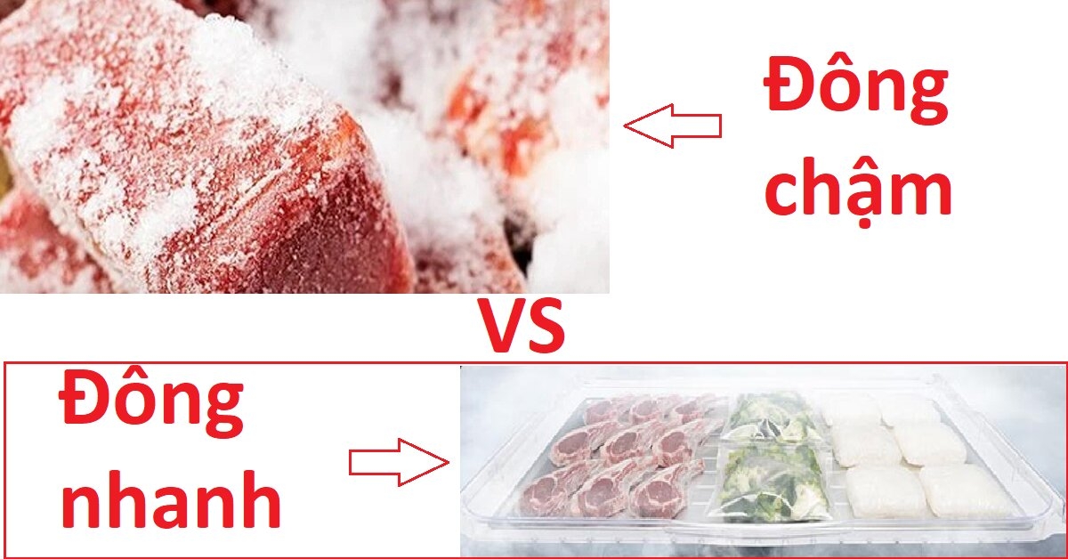 sự khác biệt giữa cấp đông nhanh và cấp đông chậm trên tủ lạnh