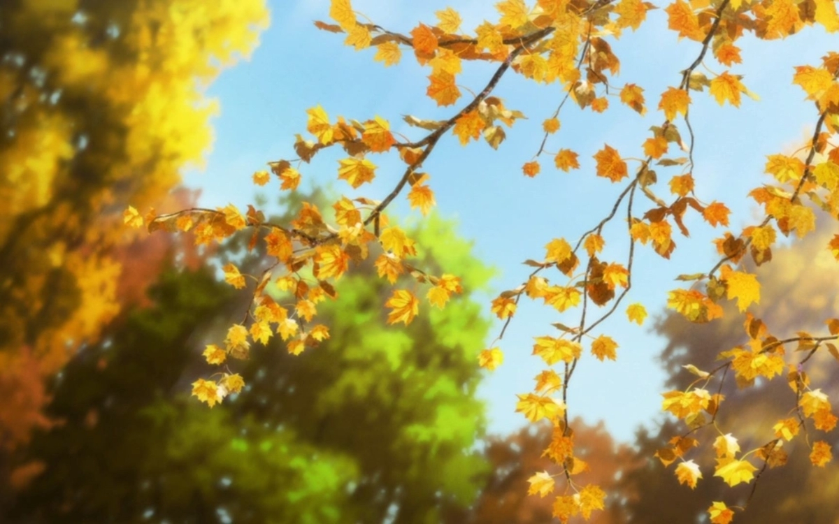 Hình nền máy tính màu vàng về phong cảnh 2