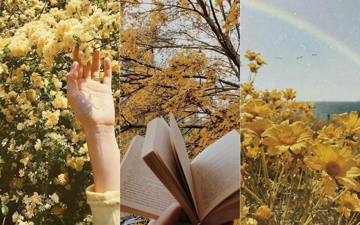 Hình nền điện thoại màu vàng về phong cảnh 1