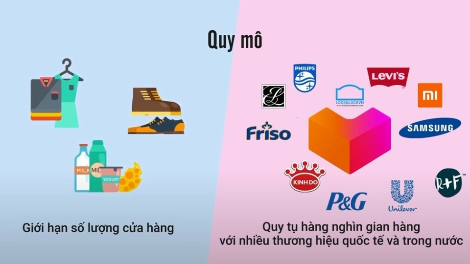 Sự khác biệt giữa MT và TT