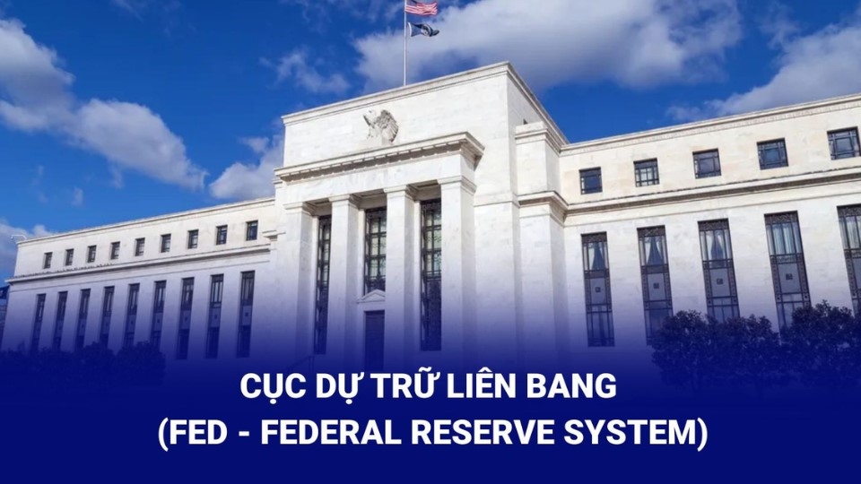 FED là tổ chức gì?