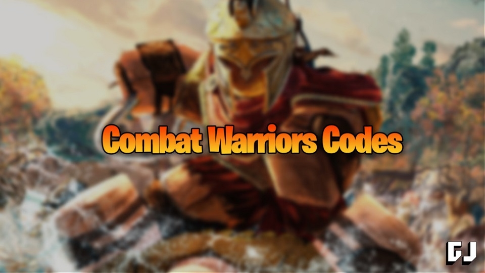 Giới thiệu về code Combat Warriors