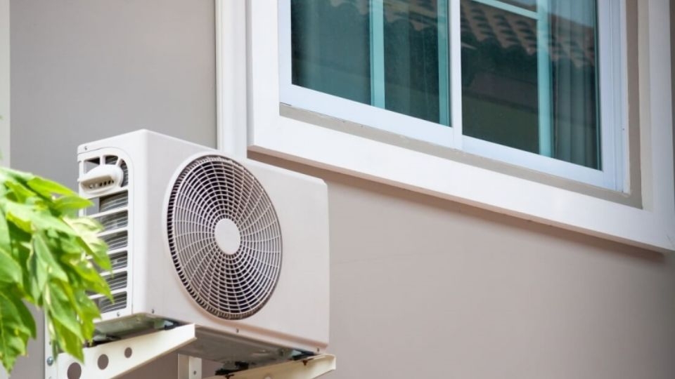 Lá cây, chim chóc, thằn lằn rơi vào dàn nóng máy lạnh có thể khiến dàn nóng kêu to khi bật máy lạnh