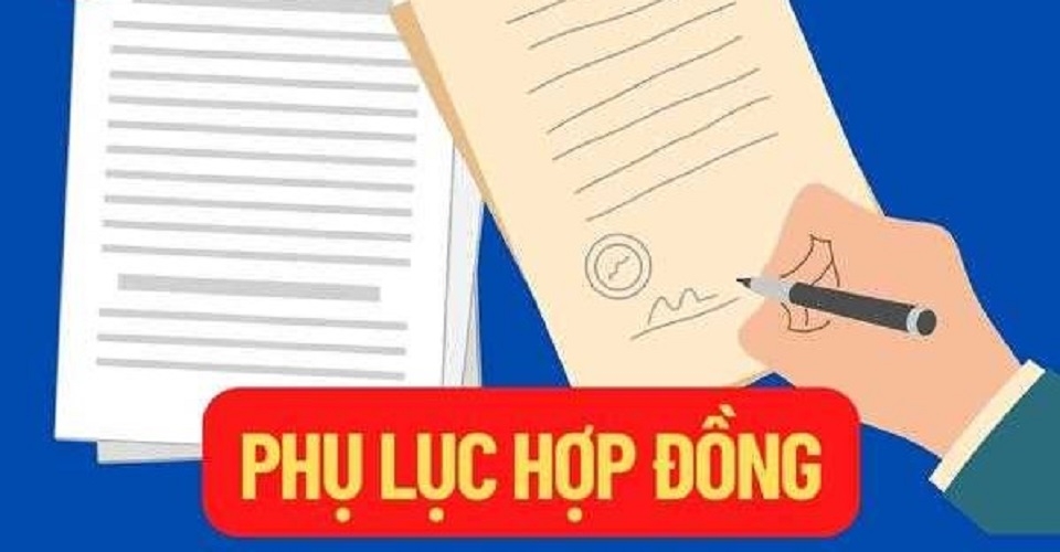 Phụ lục hợp đồng là gì?