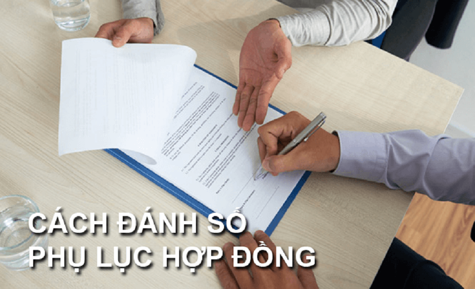 Lưu ý khi soạn thảo phụ lục hợp đồng