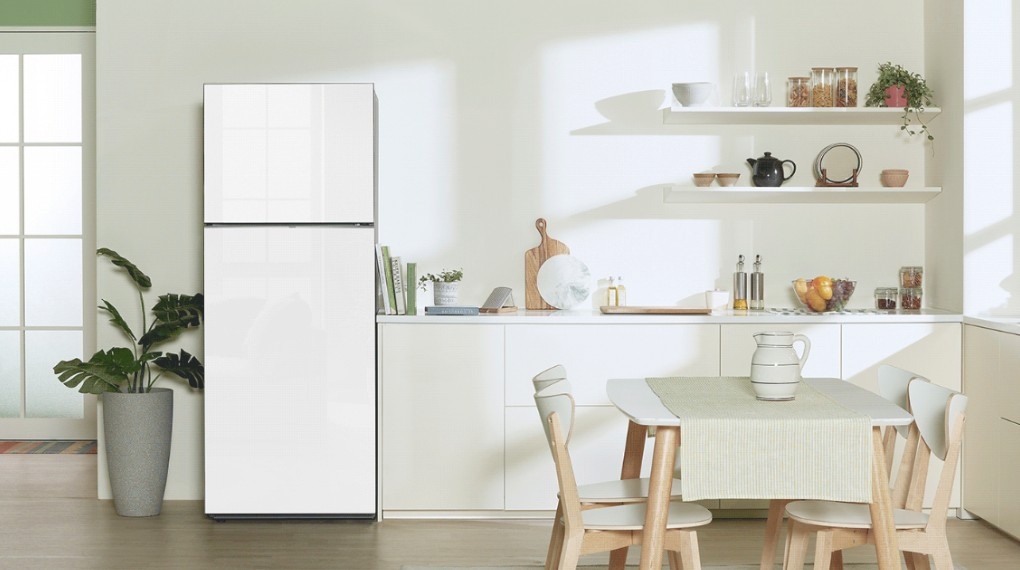 Samsung Inverter 385 lít Bespoke (1)