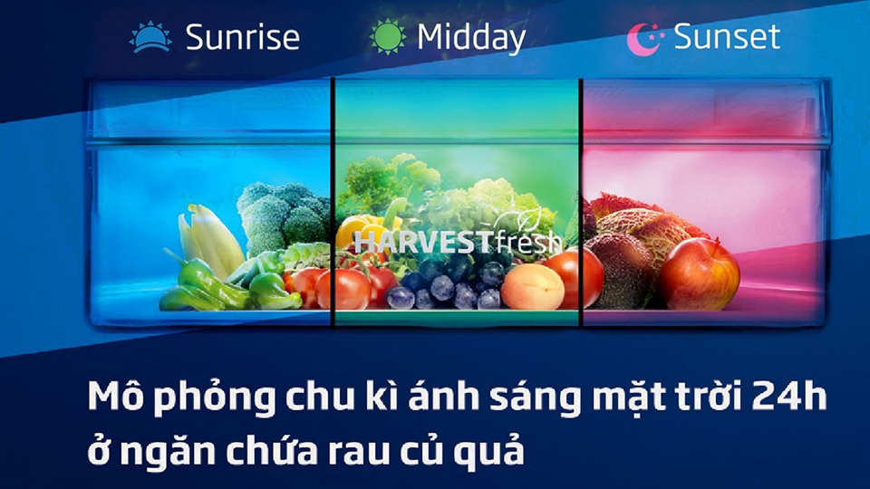 Tích hợp công nghệ ánh sáng 3 màu Harvest Fresh