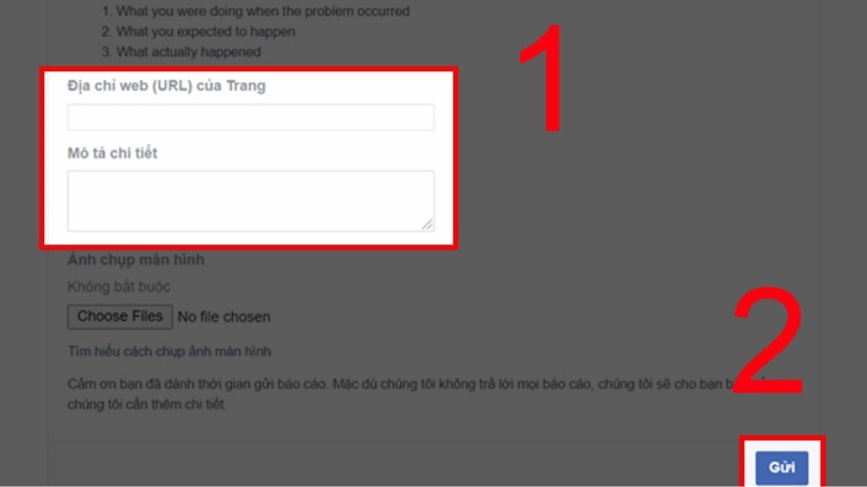 Điền chính xác link của Fanpage